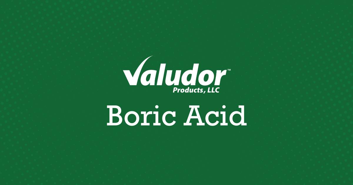 High-quality Boric Acid powder for industrial applications