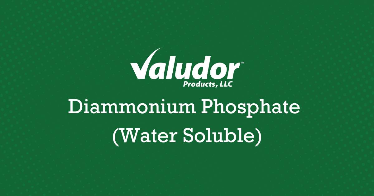 Diammonium Phosphate (Water Soluble): Uses and Benefits featured image