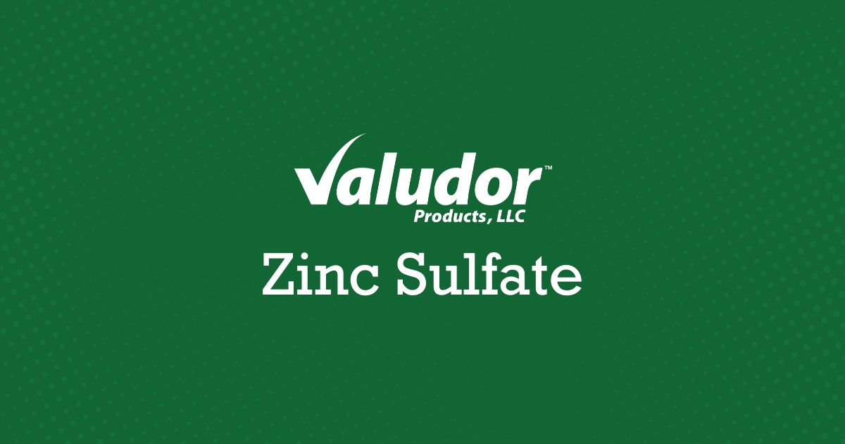 Buying and Industry Uses of Zinc Sulfate featured image