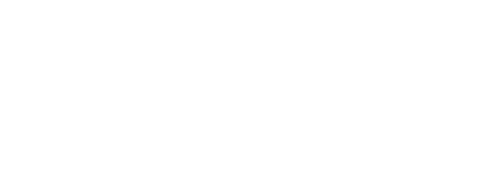 valudor_logo_color copy